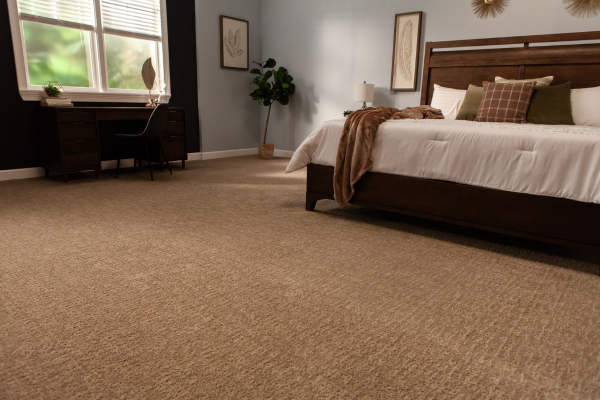 Wall-to-wall brown carpeting