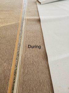 Carpet Padding Types: Everything You Need to Know About Carpet's Hidden  Teammate - Empire Today Blog